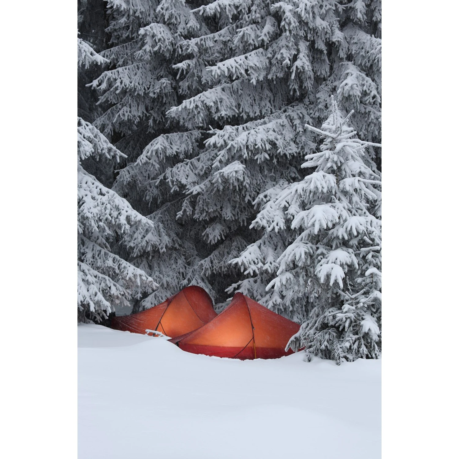 Nordisk Telemark 2 LW Tent - Burnt Red 6 Nordisk Telemark 2 LW Tent - Burnt Red - Afbeelding 4