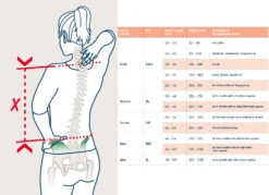 Deuter Aircontact Core 60+10 Trekking Backpack - Graphite-shale -Buitenuitrusting backlength measurement 1428892 14