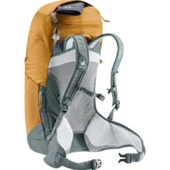 Deuter AC Lite 28 SL Damens Rugzak - Cinnamon-teal -Buitenuitrusting deuter ac lite 28 sl women backpack cinnamon teal 8 1424788