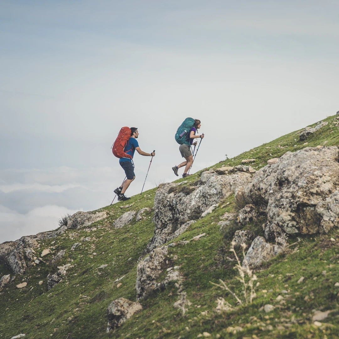 Lowe Alpine AirZone Active 22L Rugzak - Light Khaki 7 Lowe Alpine AirZone Active 22L Rugzak - Light Khaki - Afbeelding 5